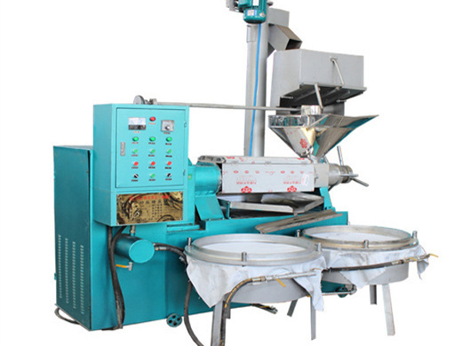 peanut oil mill machine extraction machine in durban