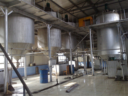soybean oil extraction plant in zambia
