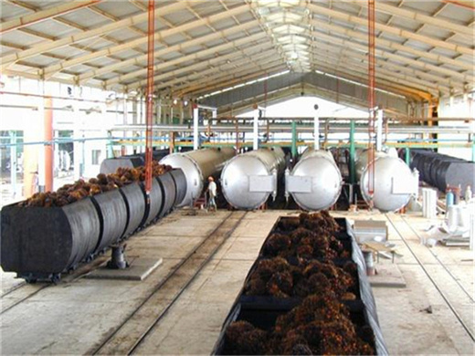 screw palms oil extractor machine in lusaka