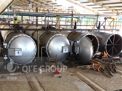 palmoilcoid palm oil processing plant station in congo