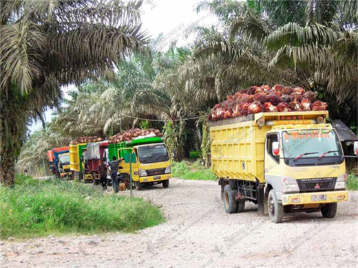 rate palm oil extraction plant palm ce in tanzania
