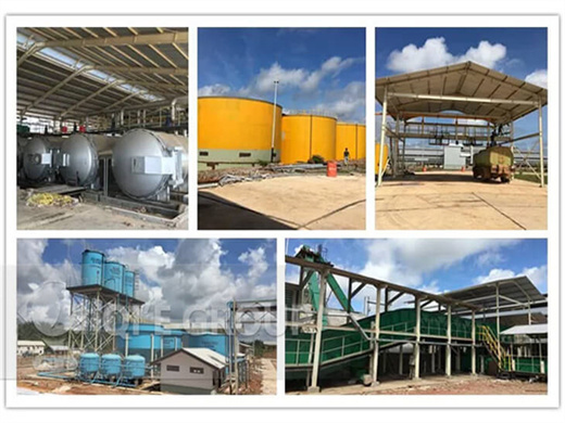 100 tons ffb palm kernel oil mill machine plant in lusaka