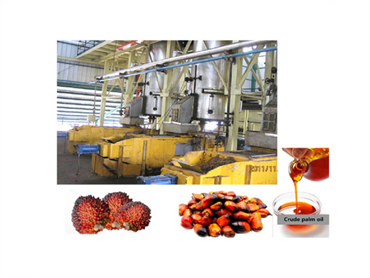hot selling soybean palm oil extracting machine in zambia