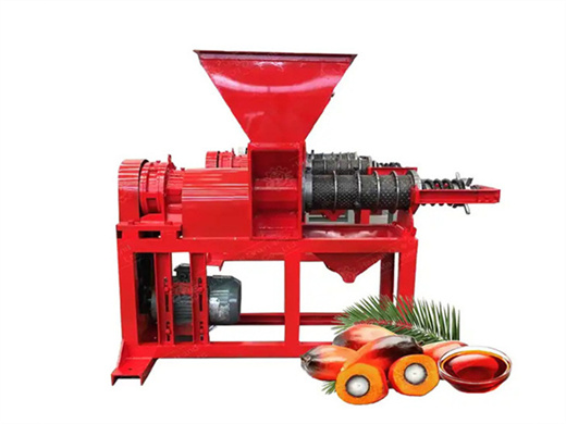 motor or diesel palm kernel oil machine in mozambique