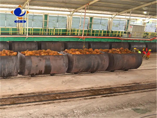 150-200 kg h palm kernel oil production line in tanzania
