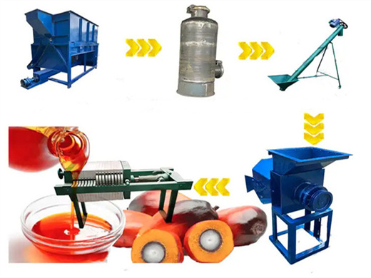 with competitive palm fruit oil pressing equipment in nigeria