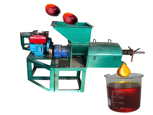 top rank palm oil extract machine oil press in kenya