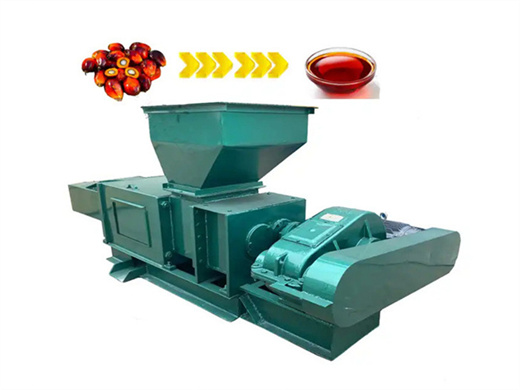 hot sell palm oil plant machine ny in south africa