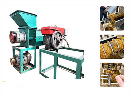 hot cold press palm oil extractor machine in togo