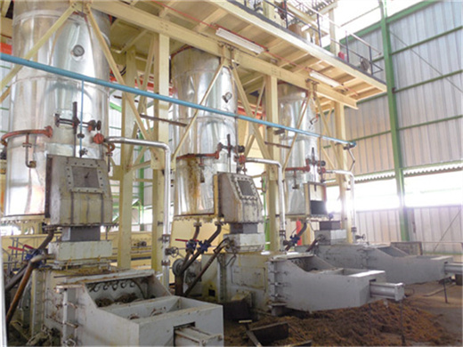 mini palm kernel oil extraction production line in indonesia