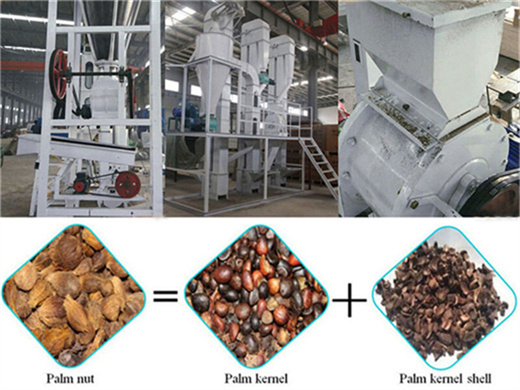 factory supplier by palm oil production line in pakistan