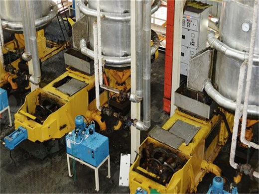 membrane filter press cooking palm oil machine in india