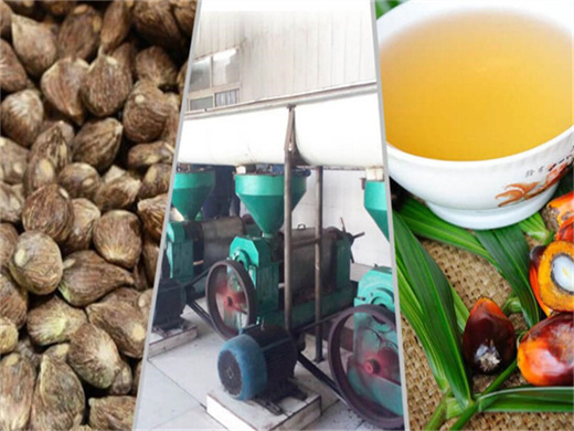 screw small capacity palm fruit oil expeller in tanzania