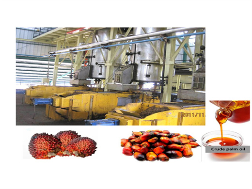 supply palm cooking peanut oil extracting machine in nepal