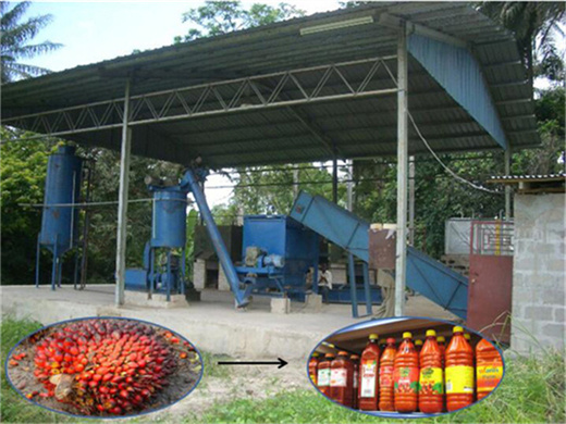 manufacturer of palm oil extraction plant in lagos