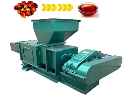 quality edible palm oil production machine in togo