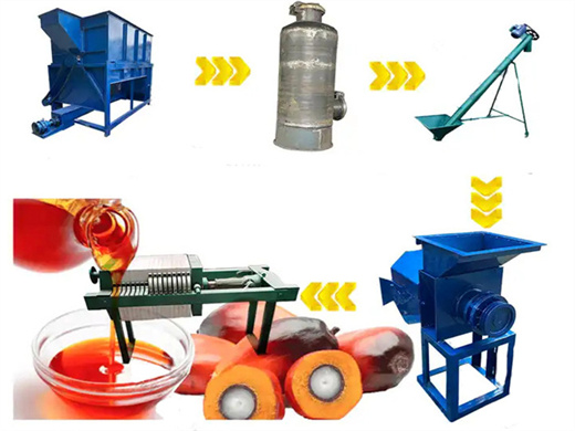 ion line palm kernel oil squeezing machine in lagos