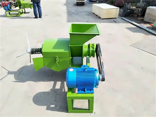 25-30t/d palm oil extractor oil press machine in botswana