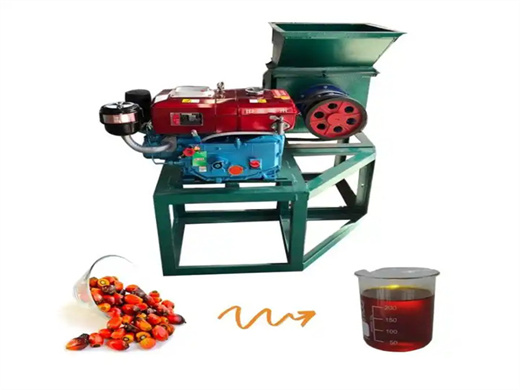 palm cold or hot oil extruder machine in durban
