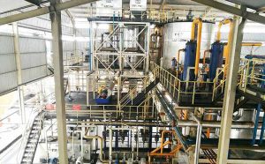 Palm Kernel Oil Production Line